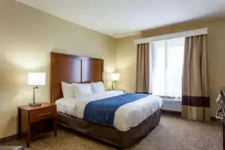 Comfort Inn & Suites Airport - 28