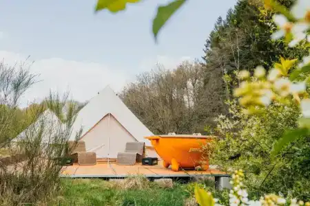 Daft & Glamping - 54