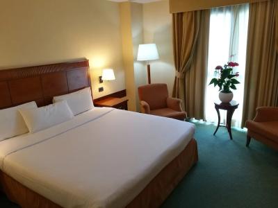 Mercure Leonardo da Vinci Rome Airport - 57
