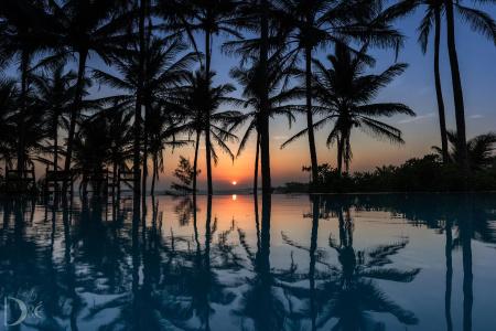 Turtle Bay - 14