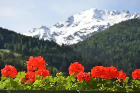 Meublè Rosalpina - 26