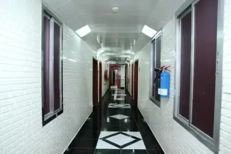 Zaineast - 6