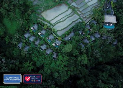 Natya Resort Ubud - 12