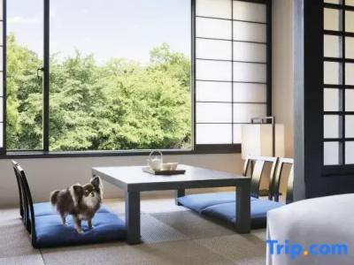 Izu Marriott Shuzenji - 53