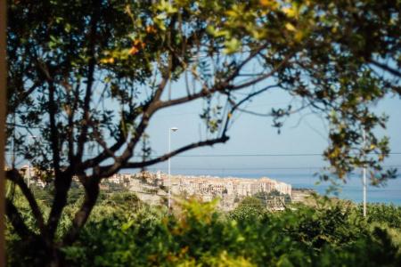 Villino Eleonora - 17