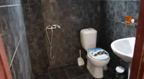 Дружба - 4