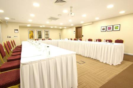 Hilton Garden Inn Ankara Gimat - 10