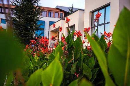 Medite Resort Spa - 96