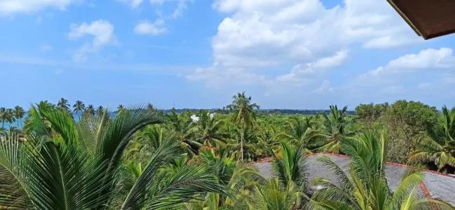 Lagoon Paradise Beach Resort - 57