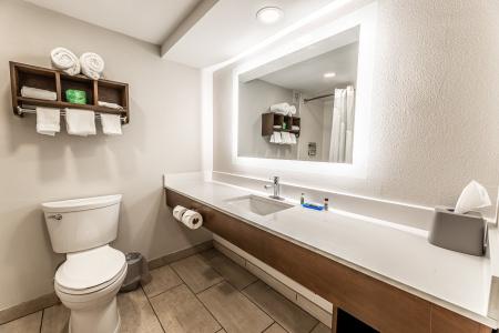 Holiday Inn Express Indianapolis South, An Ihg - 36
