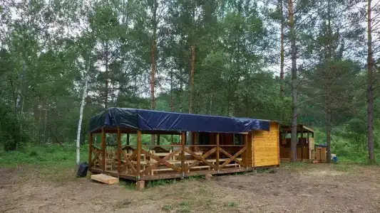 Таёжник - 13