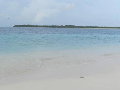 Mulah Surf Camp - 6