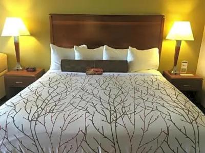 Executive Inn by the Space Needle - 36
