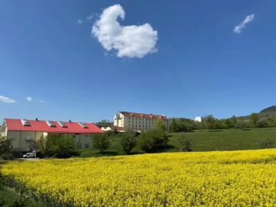 Fair Resort Wellness & Sport Jena - 27