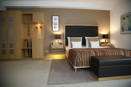 Hotelpark Stadtbrauerei Arnstadt - 40