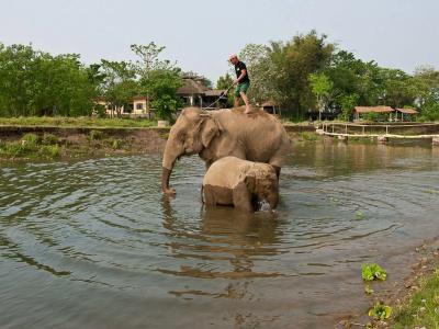 Sapana Village - 29
