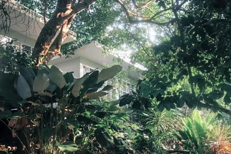 The Hidden Resort - 33