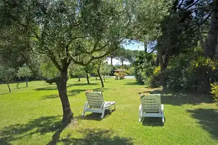 Panoramic - 34