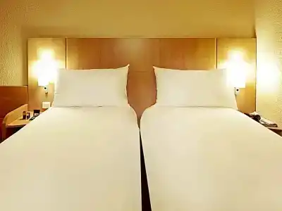 Ibis Oviedo - 31