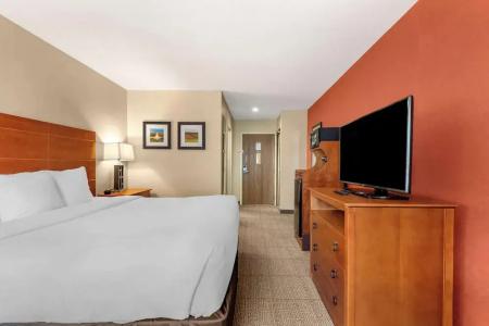 Comfort Inn Civic Center - 59
