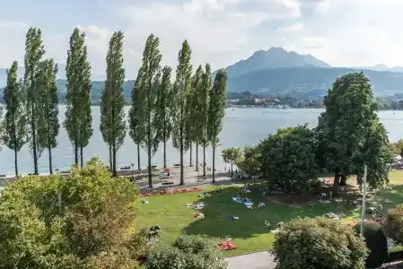 Beau Séjour Lucerne - 40
