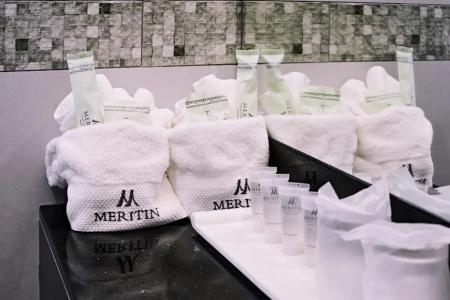 Meritin - 65