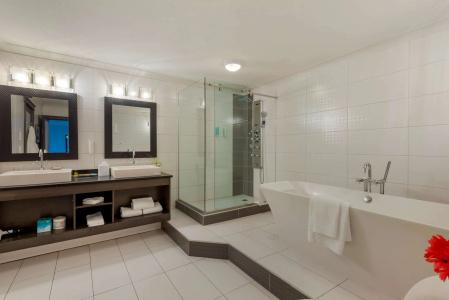 Best Western Plus Village Park Inn - 9
