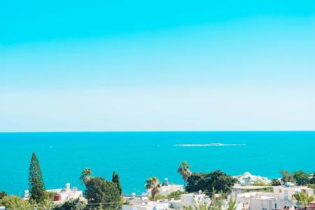 Port Marina - 37