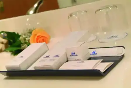 Maritim Bremen - 99