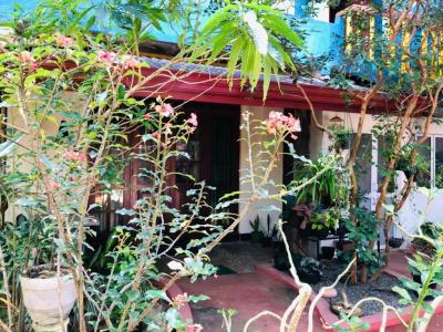 Rajmahal Inn - 14