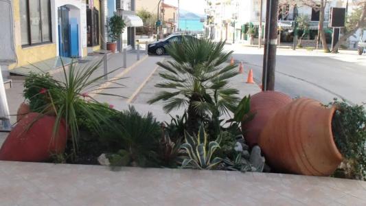 Aria Samos Town - 40