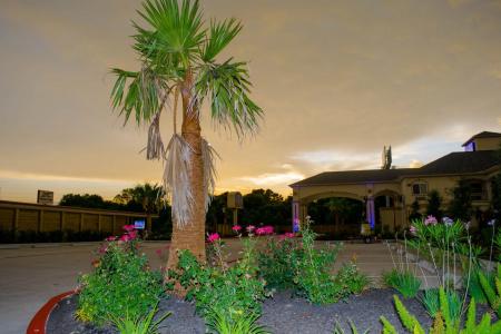 6 Houston, TX – Willowbrook Mall - 9