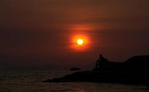 Floral · Dolphin Circle Pattaya - 25