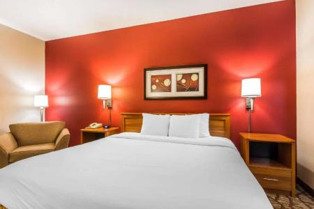 Quality Inn & Suites Chesterfield Village - 20