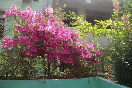 Thamel Seasons - 20
