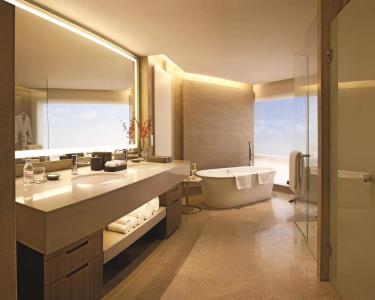 Hyatt Regency Delhi - 7