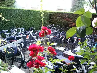 Anne De Bretagne Blois - 12