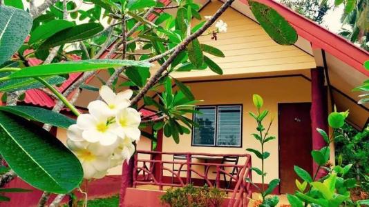 Wonderful Resort - 61