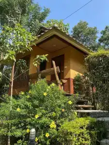 Pura Vida - 51