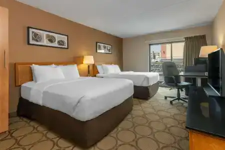 Comfort Inn - 53