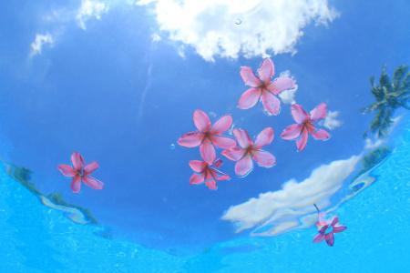 Coco Garden Resort Okinawa - 21