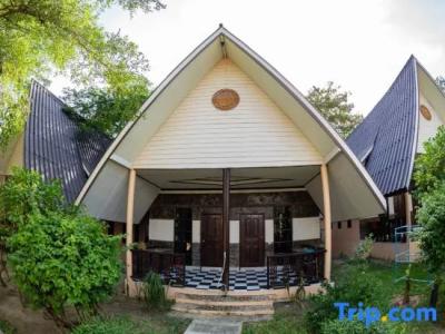Tom Pizza Resort - 57