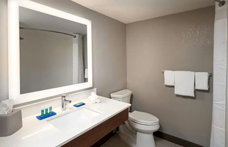 Holiday Inn Express - West, An Ihg - 44