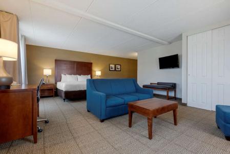Comfort Inn The Pointe - 6