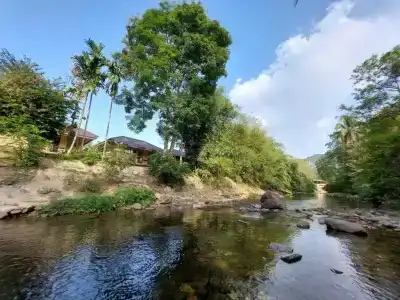 Khaosok Rainforest Resort - 141