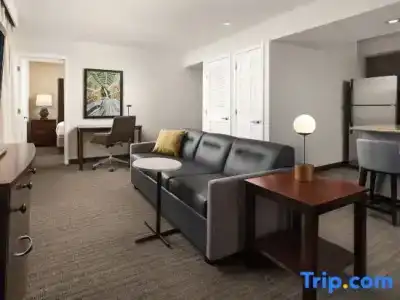 Residence Inn by Marriott Seattle/Bellevue - 63