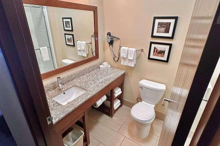 Comfort Suites North - 6