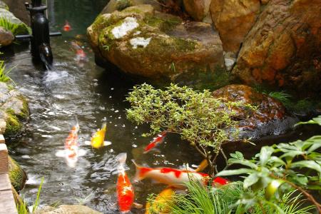 Ryokan Sawaya Honten - 19