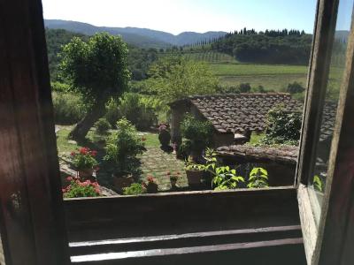 Podere Terreno alla via della volpaia - 20