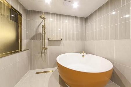 Browndot Sasang Renecite - 122